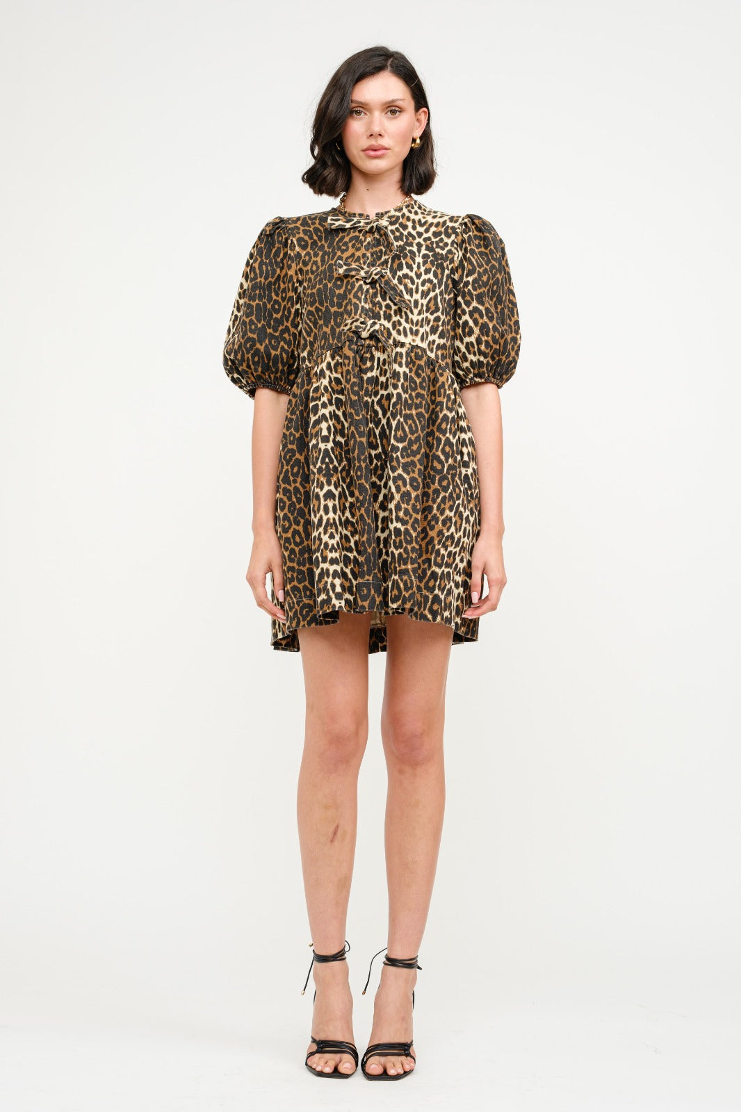 Leopard Ash Dress