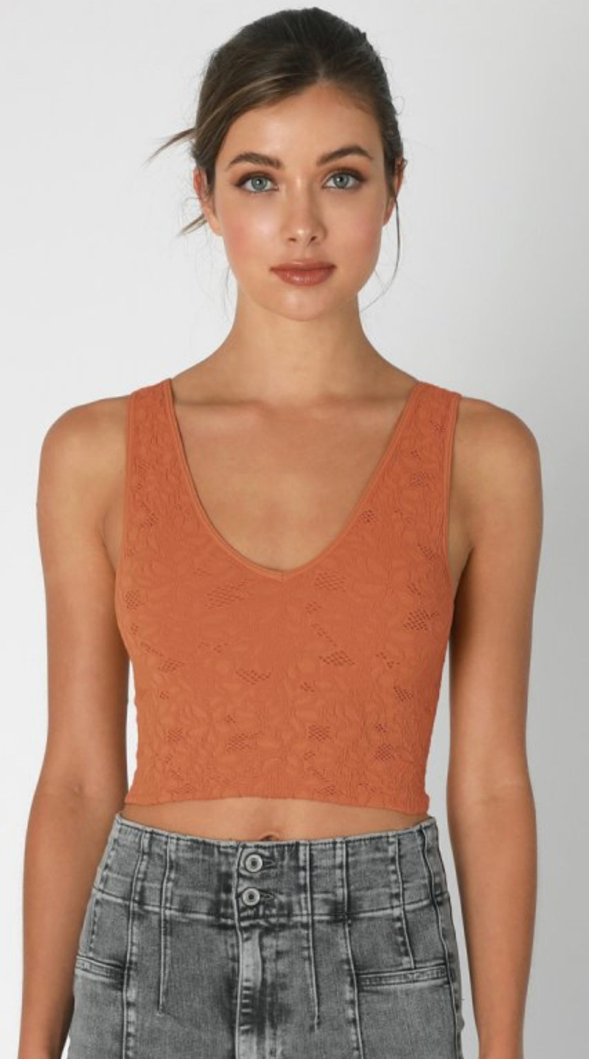 Perry Lace Basic Top