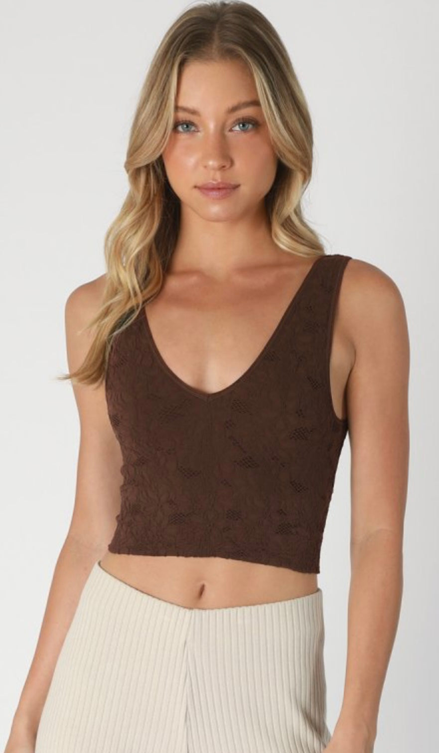 Perry Lace Basic Top