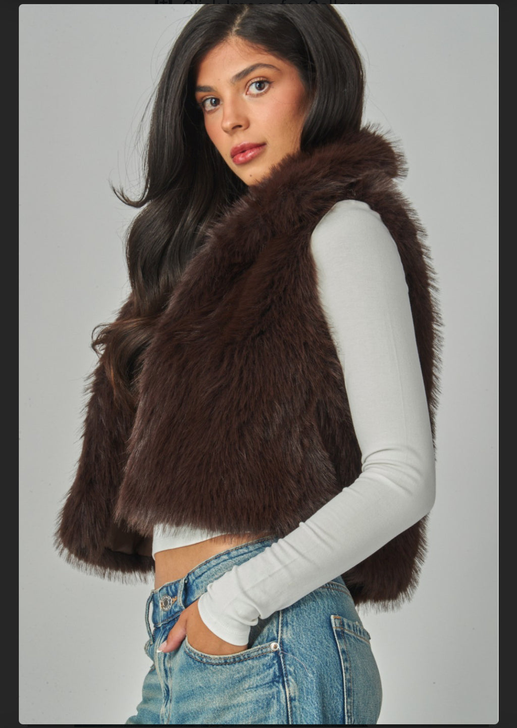Stanley Fox Fur Vest